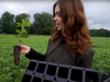 Jsme AGROFERT: Jak se sází les?